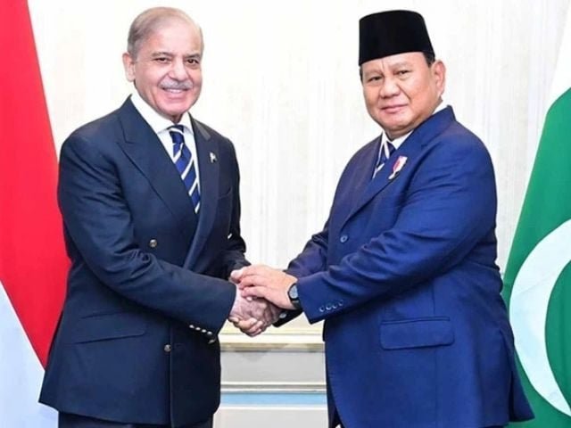Pakistan and Indonesia Agree to Strengthen Economic and Trade Ties