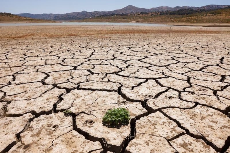 Pakistan on Drought Alert as Rainfall Declines by 62%