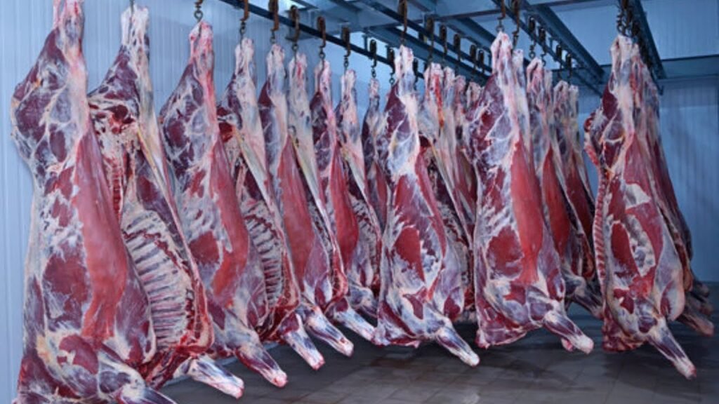CDA Finalizes Feasibility Study for Islamabad’s First Modern Slaughterhouse Project CDA completes feasibility for Islamabad’s modern slaughterhouse, partnering with Saudi firm GO ARAMCO to boost investment and exports.