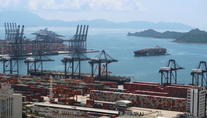 Pakistan Targets $500 Million in Sorghum Exports by Tapping into Chinese Market