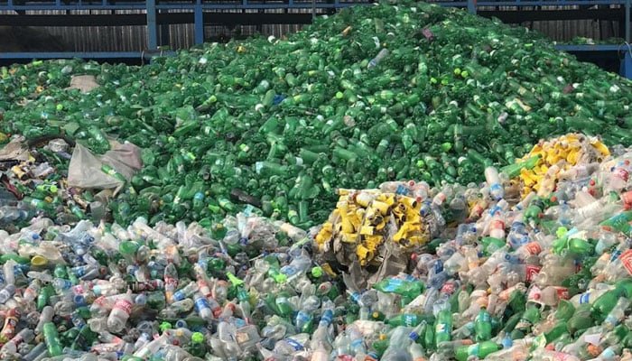 Punjab govt offers cash reward for Green Credit Programme to Tackle Plastic Waste and Promote Recycling