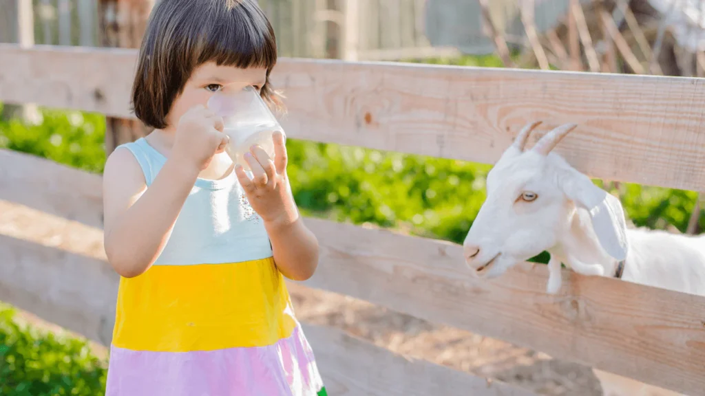Goat’s Milk vs Cow’s Milk: Study Finds Goat Milk Better for Muscle Health, Inflammation, and Recovery