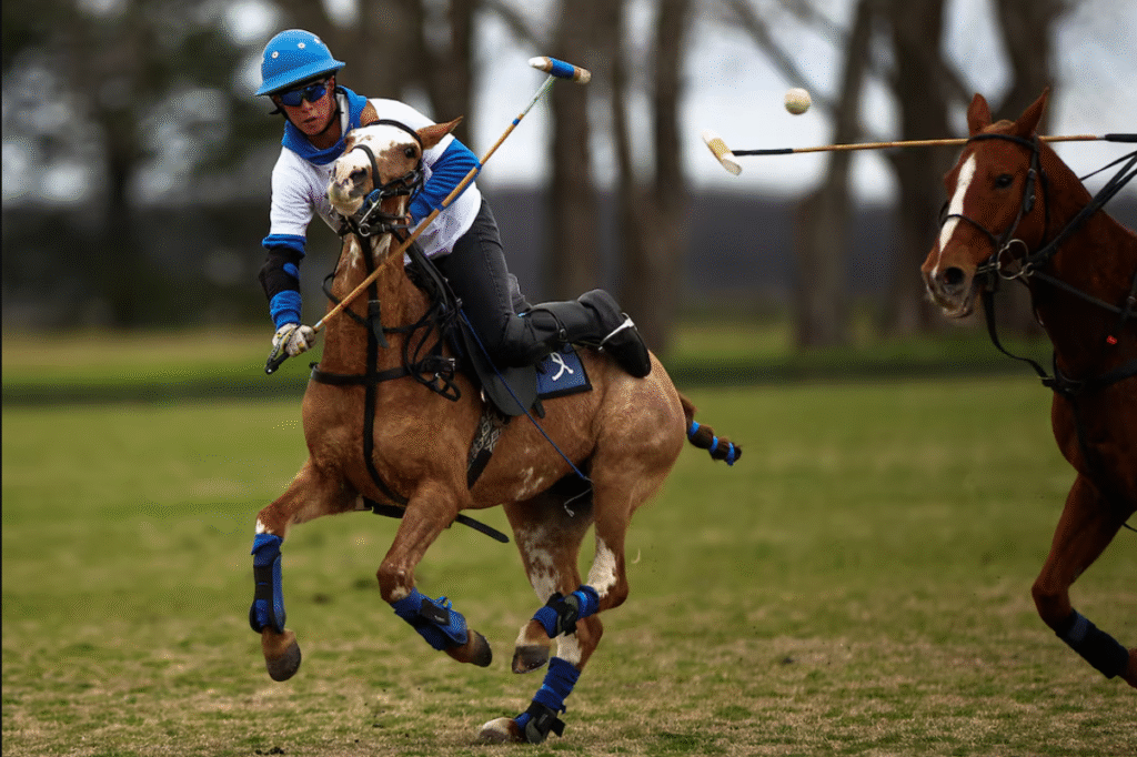 gene-edited polo horses Argentina