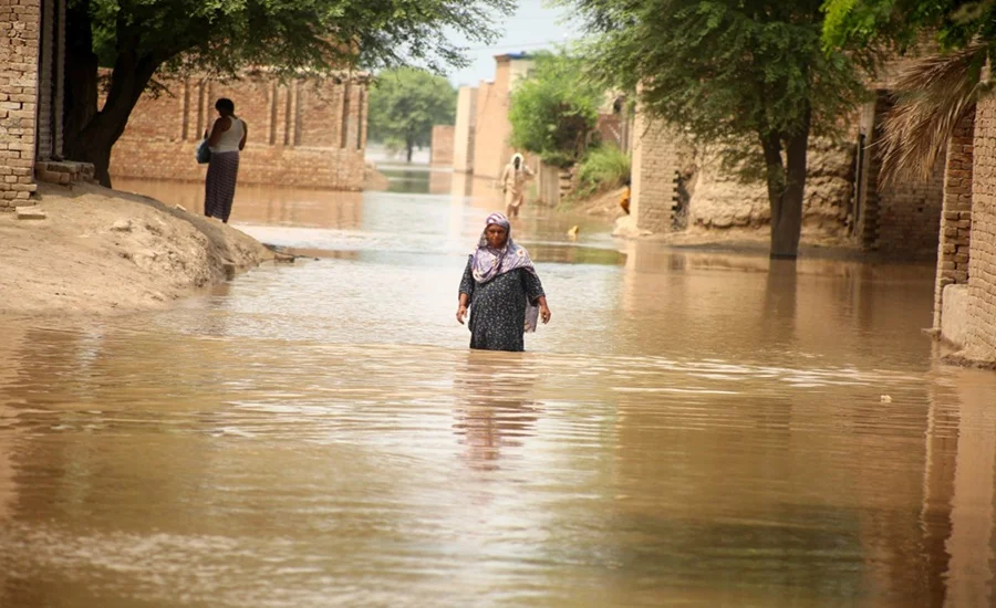 NDMA Confirms 910 Dead, 1,044 Injured in Pakistan Floods