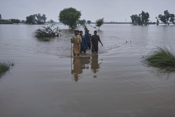 PDMA Warns of Major Flood in Chenab Heading South Punjab
