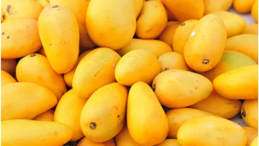 Which Country is the Largest Exporter of Mangoes in the World?