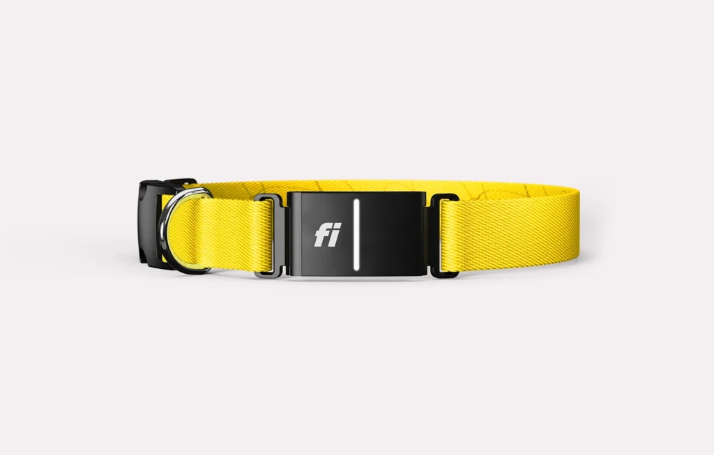 Fi Series 3+: The Ultimate Smart Dog Collar for Pet Tracking and Safety Fi Series 3+: The Ultimate Smart Dog Collar for Pet Tracking and Safety