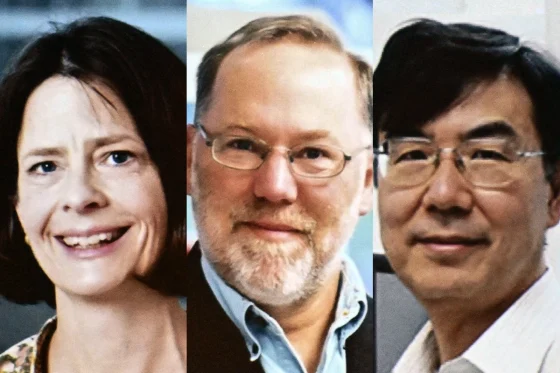 Three Scientists Win 2025 Nobel Prize for Groundbreaking Work in Autoimmune Disease and Cancer Treatments