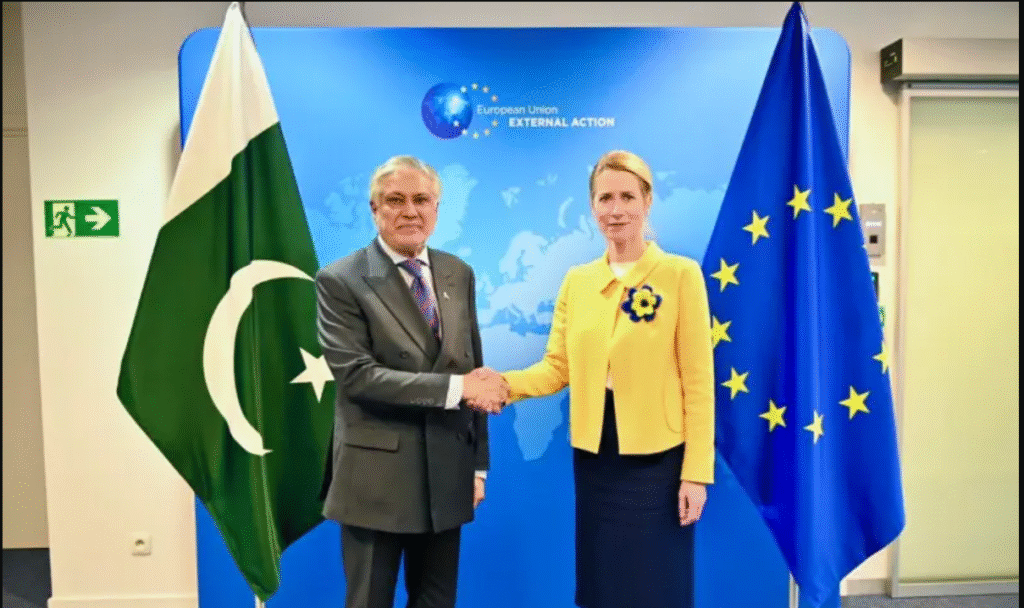Pakistan EU Afghanistan terrorism cooperation