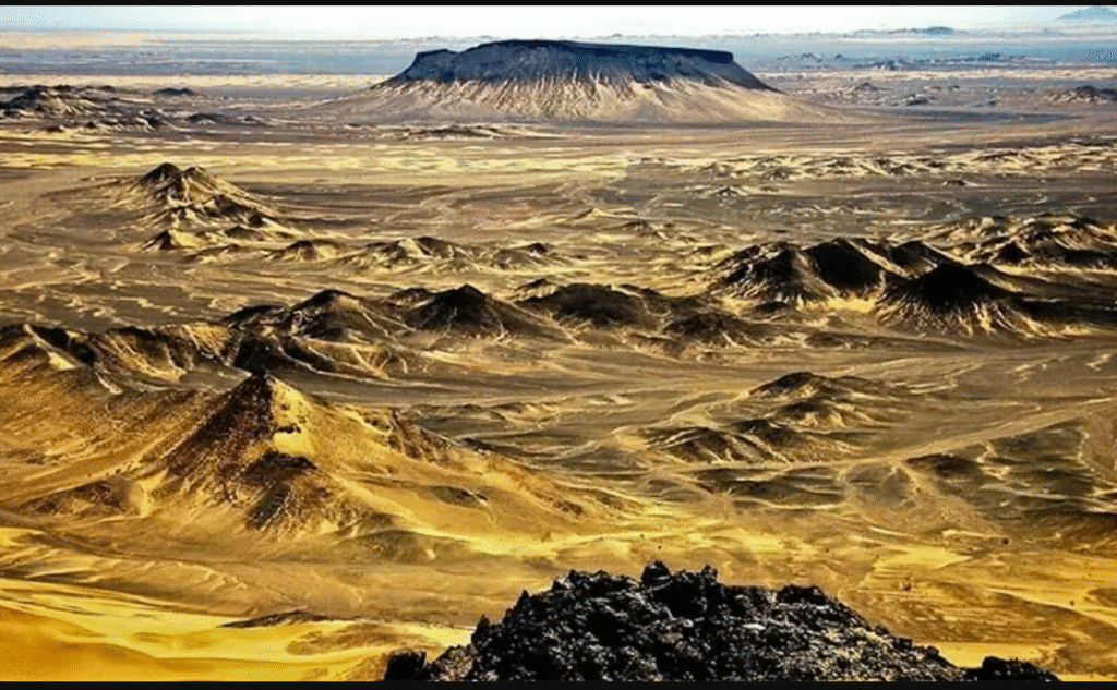 US Exim Bank loan for Reko Diq