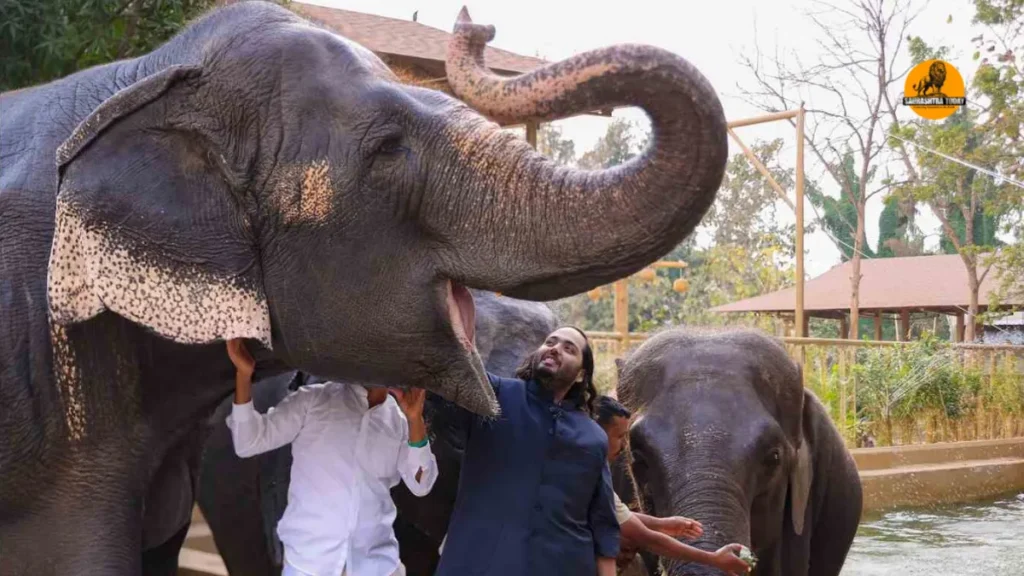 New Delhi Appeals to UN Against Restrictions on Ambani Zoo Imports