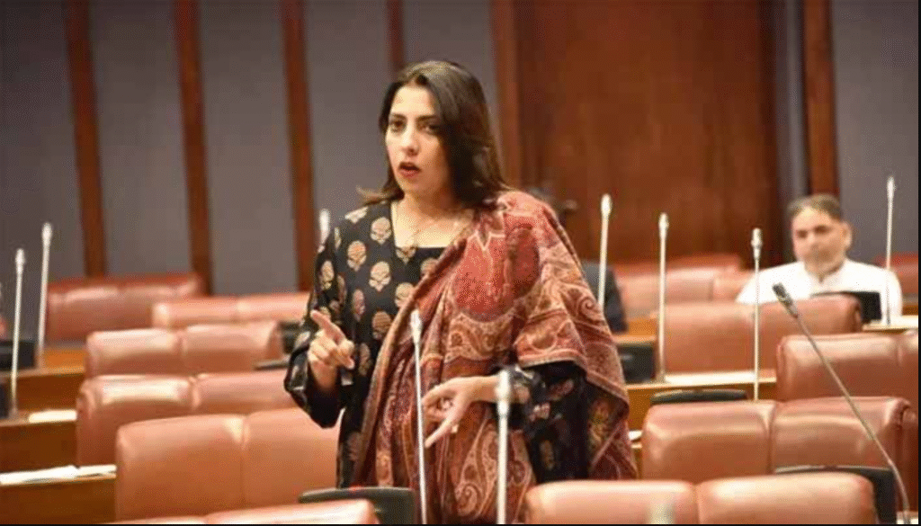 PPP Senator Accuses FIA, NCCIA of Corruption; Calls for NAB Action on CDA Land Allotments CDA land allotment corruption Pakistan