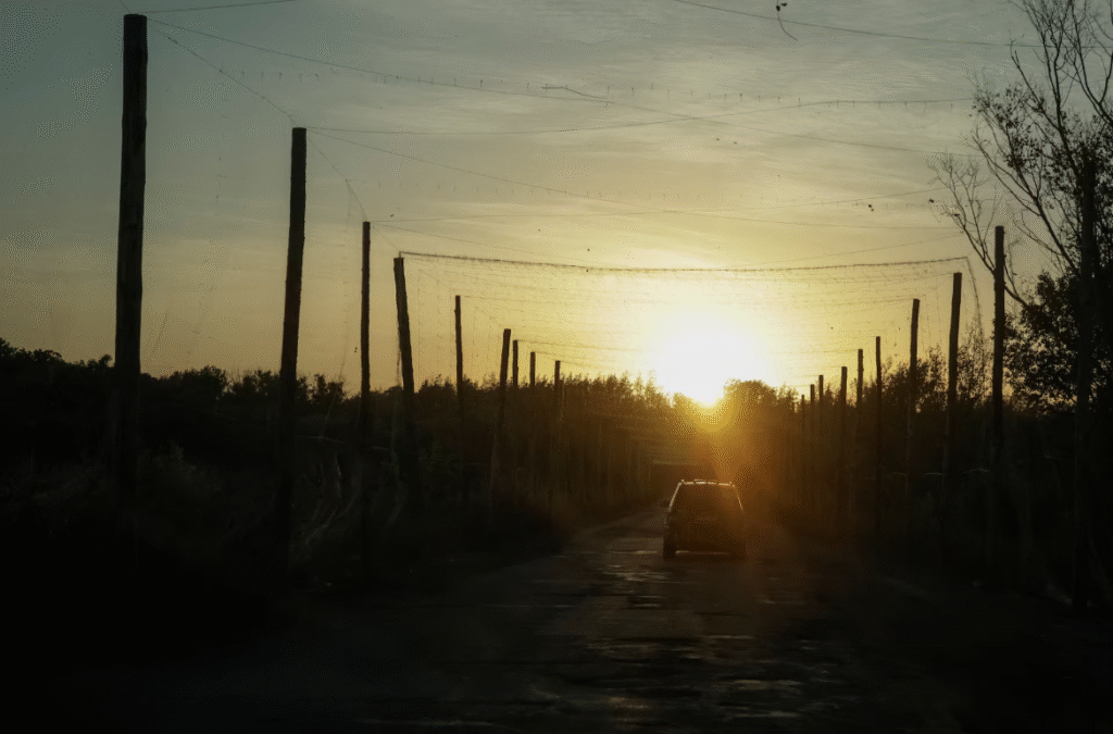 Ukraine retakes parts of Kupiansk, trapping Russian forces Ukraine recaptures Kupiansk