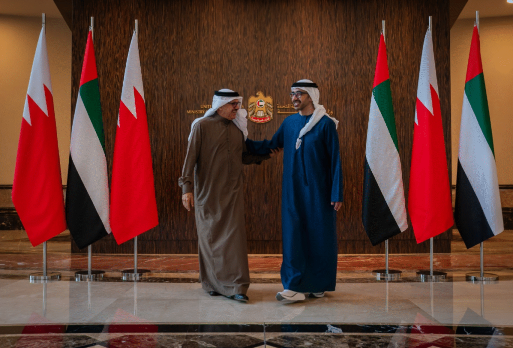 UAE Saudi efforts in Yemen