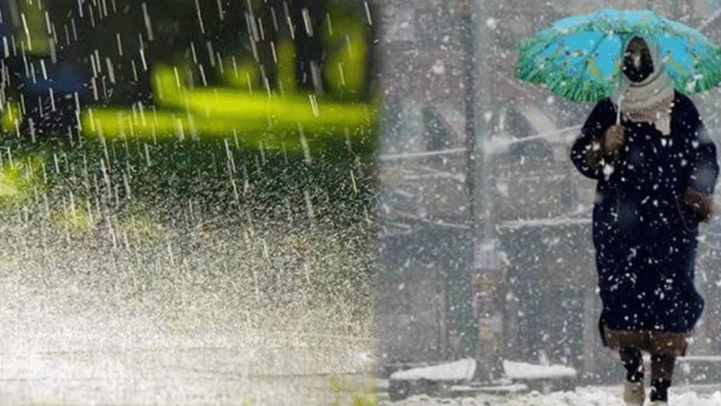 Punjab rain alert PDMA