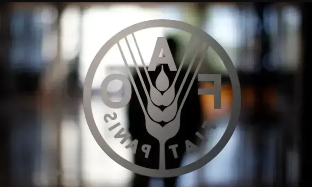 FAO agriculture investment