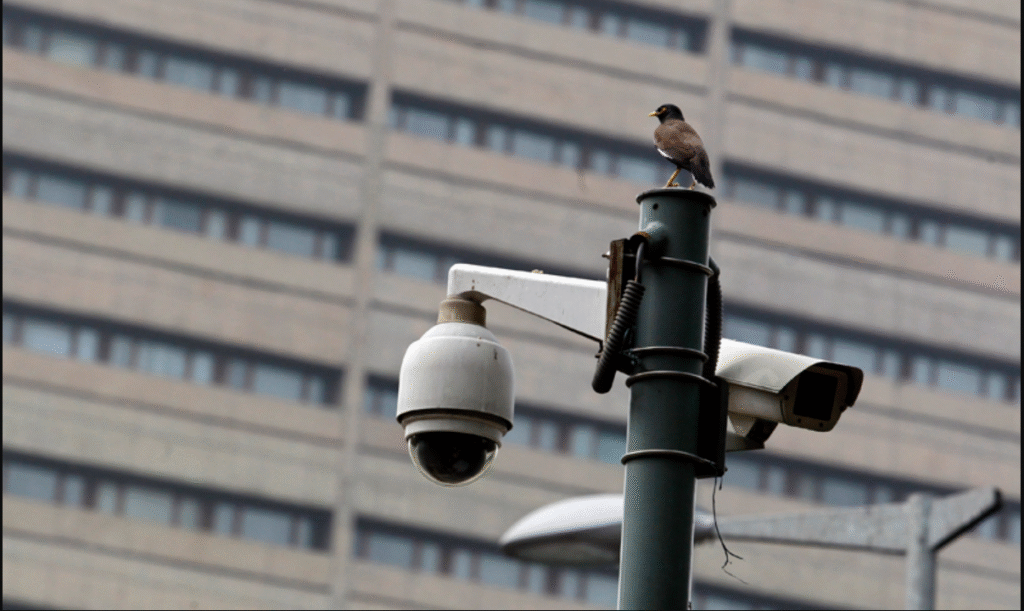 Islamabad Safe City's performance report