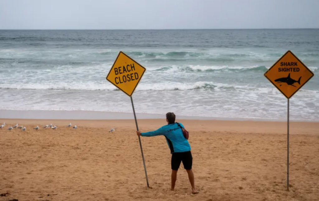 Australia shark attacks