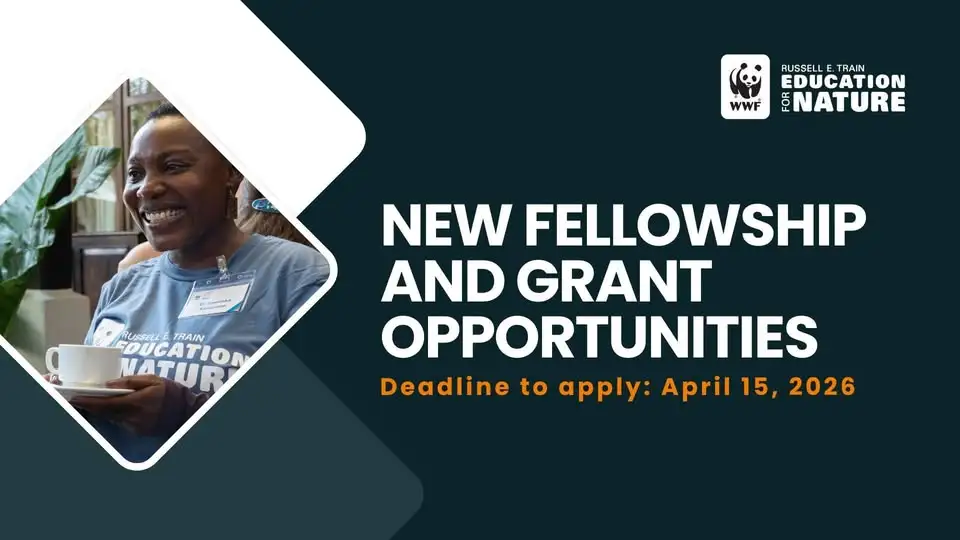 WWF Opens Fully Funded 2026 Fellowship Programs and Global Conservation Grants