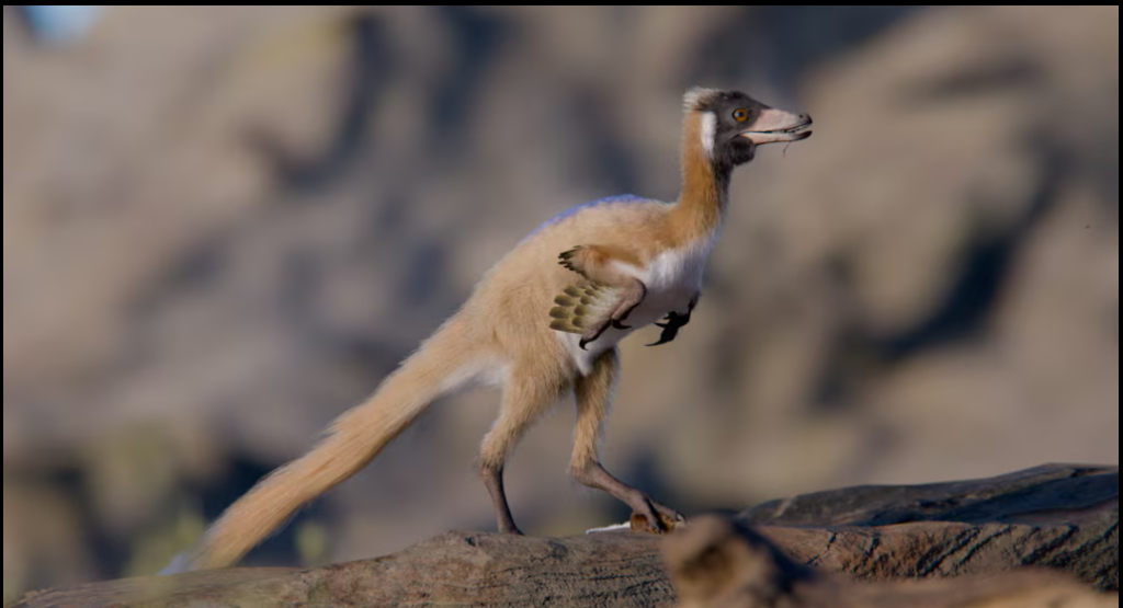 Exquisite Fossil of One of the Smallest Dinosaurs Discovered in Patagonia fossil