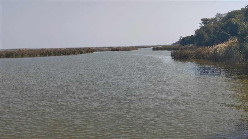 Haleji Lake Faces Ecological Decline as Migratory Birds Vanish Haleji Lake’s ecosystem declines as water inflows stop, driving migratory birds away and threatening Pakistan’s vital wetland biodiversity.